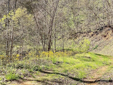 7858 Big Laurel Rd, Marshall, NC 28753 - photo 7