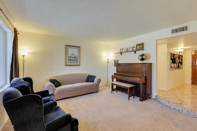 711 S Hall, Mesa, AZ 85204 - photo 5