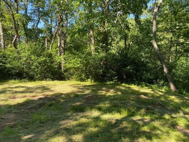 0 Township Rd 539 unit 221021120, Loudonville, OH 44842 - photo 5