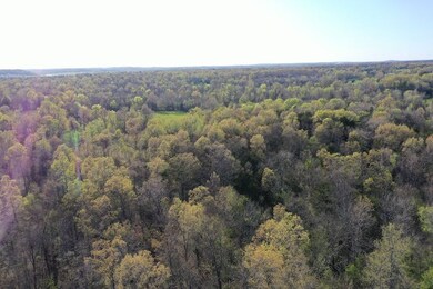 0 Tbd Engelberg Rd unit LotWP001, Pocahontas, AR 72455 - photo 7