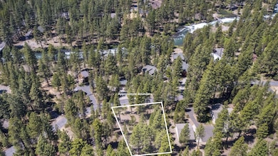 3-web-or-mls-DJI_0843