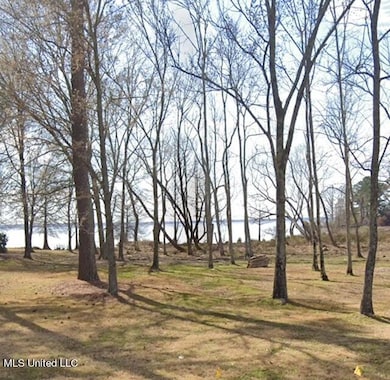 81 Grandview Cir, Brandon, MS 39047 - photo 4