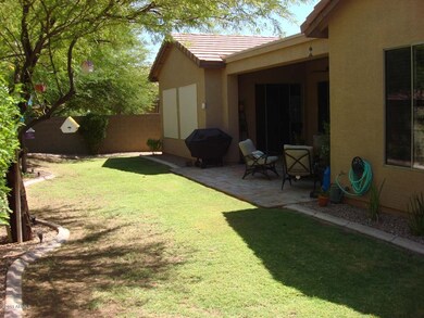backyard 3