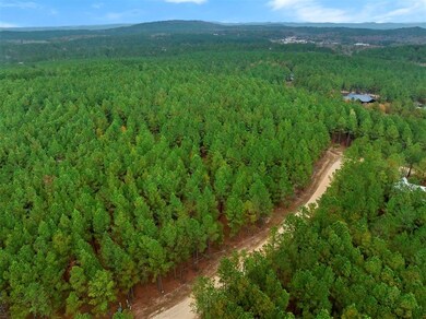 17 Hochacedar Trail, Broken Bow, OK 74728 - photo 6