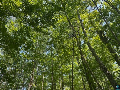 View of nature