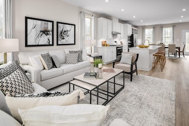 Living Room/Kitchen