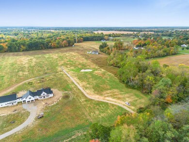 003_93a9dba8a_B-1018 Dent-003