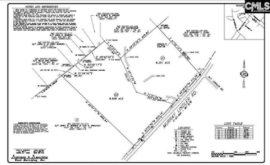 0 Murray Lindler Rd, Chapin, SC 29036 - photo 3