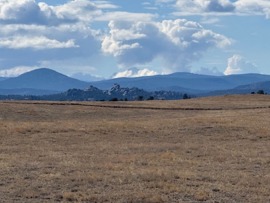 2424 Hwy 287, Tie Siding, WY 82070 - photo 6