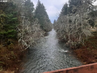 39933 Layng Creek Rd, Dorena, OR 97434 - photo 4