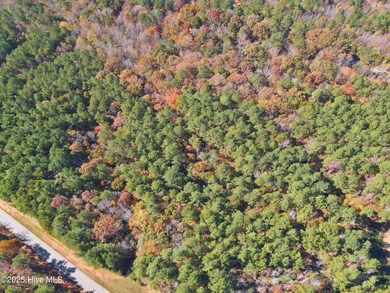 dji_fly_20251112_123924_110_176297231160