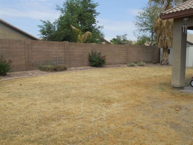 Backyard 2