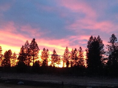 220 E Chattaroy Rd, Colbert, WA 99005 - photo 5