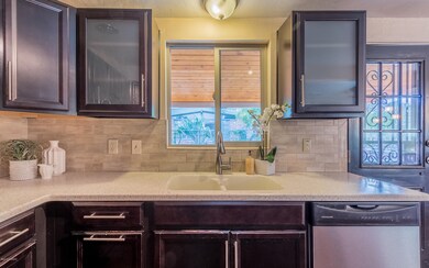 Double Kitchen Sink