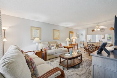 3001 58th Ave S unit 203, Saint Petersburg, FL 33712 - photo 6