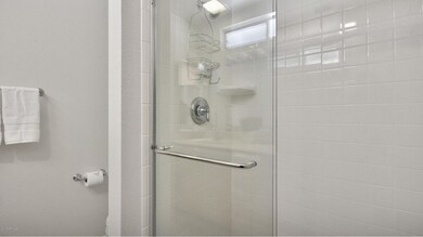 Master Shower