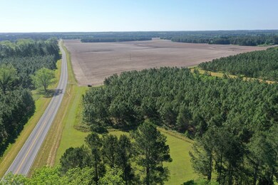 Facing East Along Hwy 188