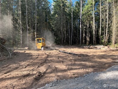 1813 394th St S, Roy, WA 98580 - photo 5