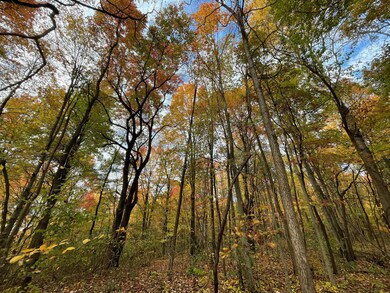 0 Revenge Rd SW unit 20 221045212, Lancaster, OH 43130 - photo 5