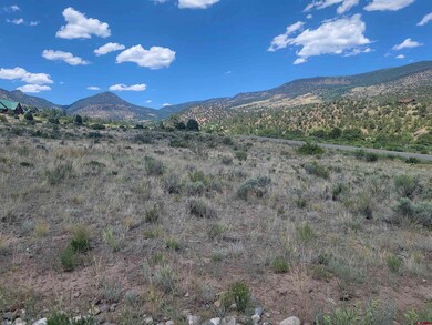 1287 Bear Creek Cir, South Fork, CO 81154 - photo 6