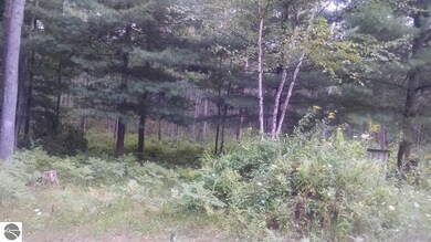 NKA Davis, Au Gres, MI 48703 - photo 3