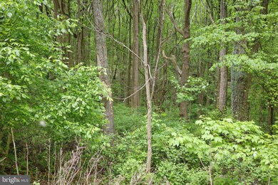 Lot A12 Friendly Ln, Stanley, VA 22851 - photo 3