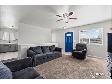 Entryway into Living Room and Kitchen