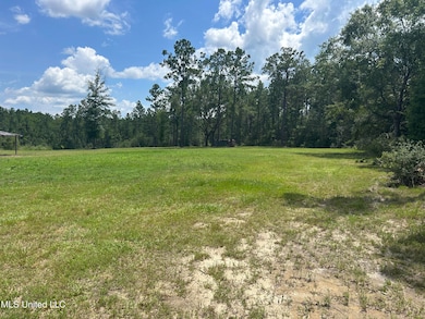 0 Highway 603 unit 4117113, Kiln, MS 39556 - photo 3