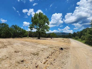61197 Rocky Rd, Hodgen, OK 74939 - photo 4