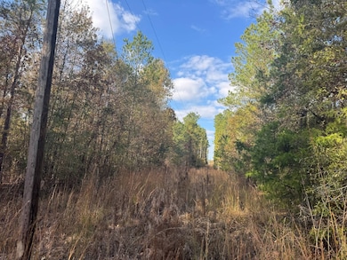 00 County Road 4026, Kosciusko, MS 39090 - photo 7