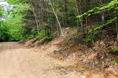 Lot H-15 Tobey, Campton, NH 03223 - photo 4