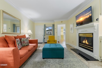 3215 N River Rd unit Ste 503, Pigeon Forge, TN 37863 - photo 4