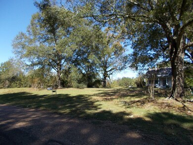 5031 Timberlane Rd, Wesson, MS 39191 - photo 3