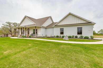 125 Tobiano Trace, Brock, TX 76087 - photo 3