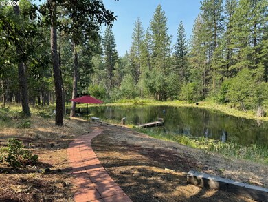 Pond
