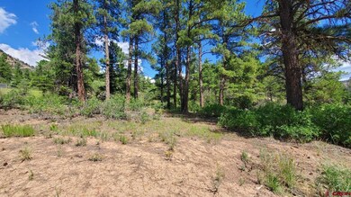 82 Wild Iris Ave, Durango, CO 81301 - photo 7