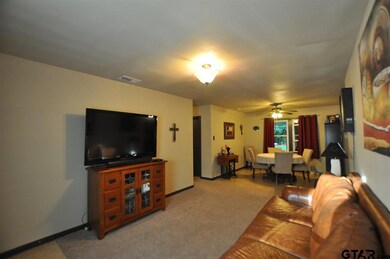 3911 Driftwood Ln, Tyler, TX 75701 - photo 2