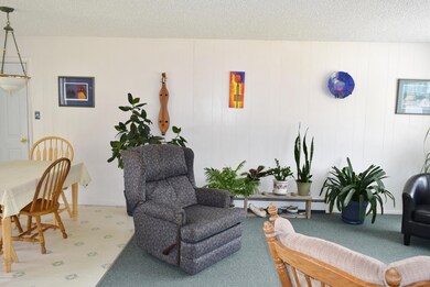 Living Area (3)