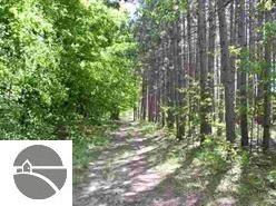 . N Walnut, Bitely, MI 49309 - photo 6