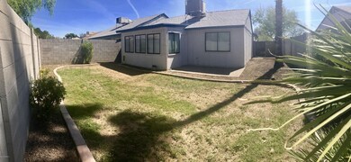 Back & side yard