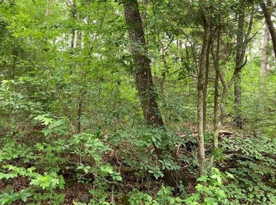 MLS# 00 John Birch Rd. Hennessee(7)
