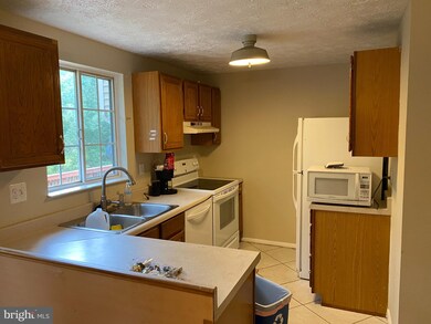 20323 Greenriver Terrace, Germantown, MD 20876 - photo 3