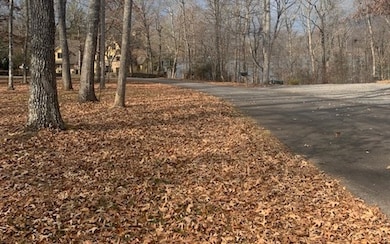 Additional View