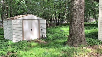 Shed