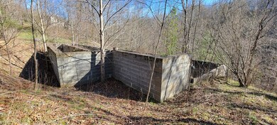 130 Richter Dr, Topton, NC 28781 - photo 7