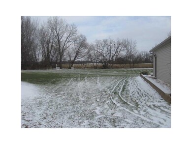 . Back Yard