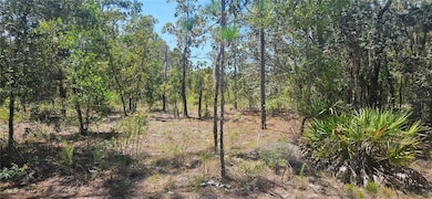 0 NE 67th Ln unit MFRGC533538, Bronson, FL 32621 - photo 2