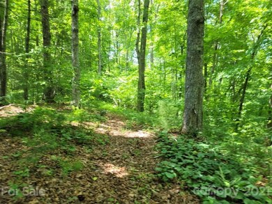 000 Arrowhead Ln unit 13, Burnsville, NC 28714 - photo 6