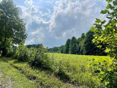 18.2ac Milk Barn Ln Tract 4, Cookeville, TN 38506 - photo 3