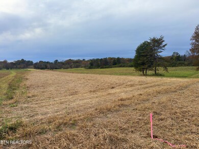 7662 Haws Rd, Knoxville, TN 37920 - photo 6